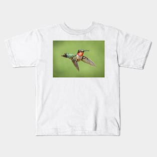 Hummingbird Male Ruby Throat Kids T-Shirt